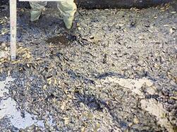 調整池内堆積物撤去前