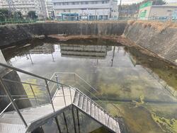 和田前調整池内写真