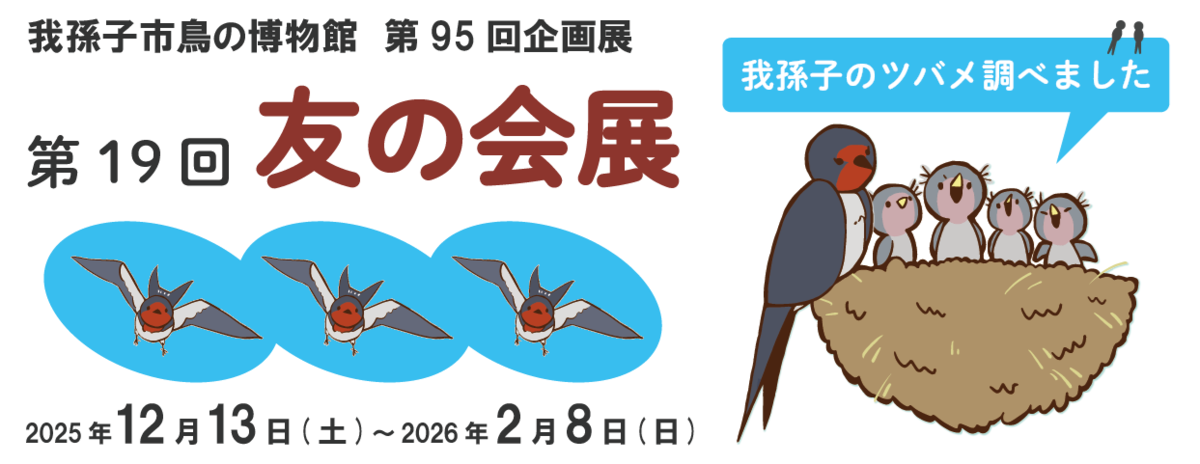 鳥の博物館　第19回友の会展　画像
