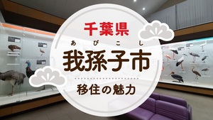 我孫子市移住の魅力