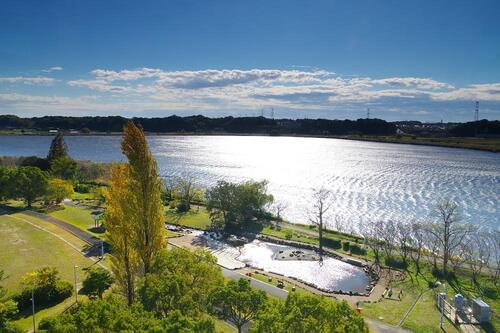 11月の写真拡大版