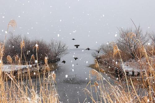 2月の写真拡大版