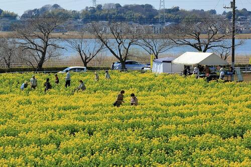3月の写真拡大版