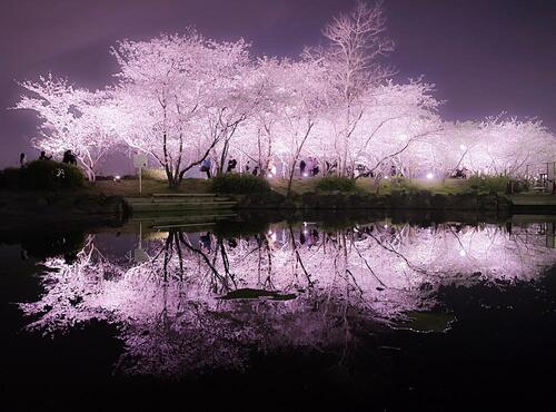 4月の写真拡大版
