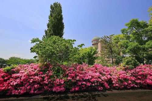 5月の写真拡大版