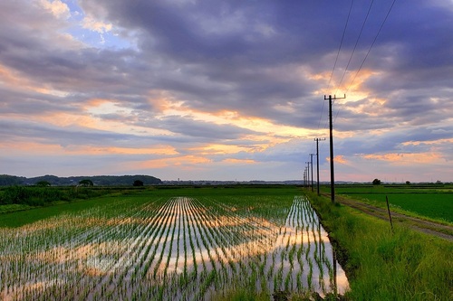 6月の写真拡大版