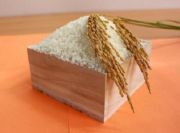 「新米特集」へのリンク画像