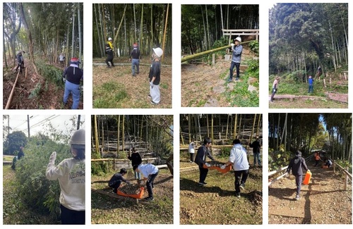 竹林整備の様子